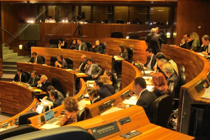 Pleno De La Junta General