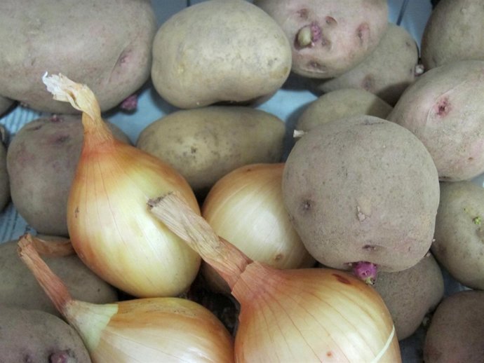Patatas, Cebollas, Tubérculos