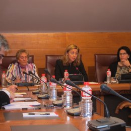 Cristina Mazas En La Comisión De Economía