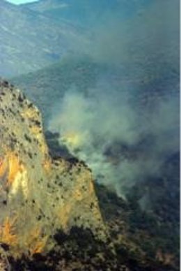 Incendio En Catalunya