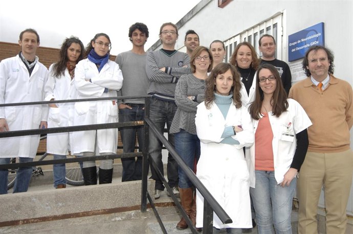 Investigadores De Esclerosis Múltiple