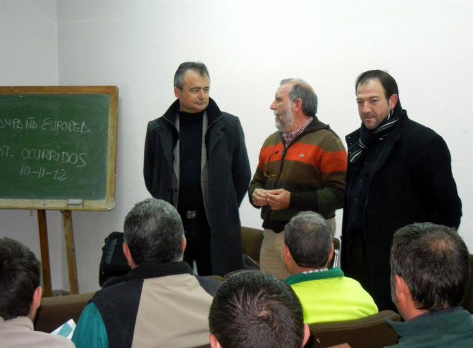 Curso Sobre Seguridad Vial De La DPT