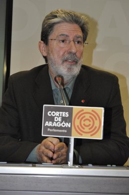 Adolfo Barrena, Portavoz De IU