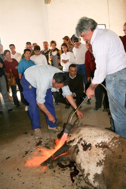 Ignacio Caraballo Visita La Matanza De Huerto Ramírez