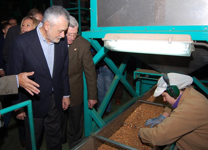 Griñán Este Sábado En Cártama