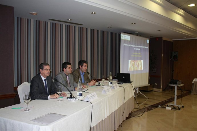 Jornada Sobre Transplante De Páncreas