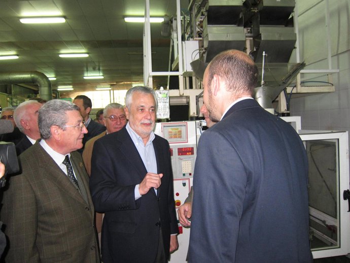 Visita A La Cooperativa De Almendras 