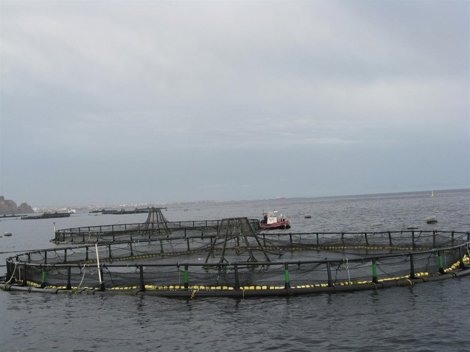 Piscifactoría Piagua 