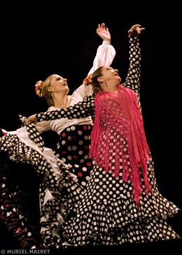 Milagros Menjíbal En El Teatro Central Dentro De Flamenco Viene Del Sur
