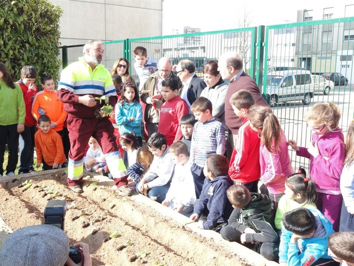 Plantación De Los Huertos Escolares