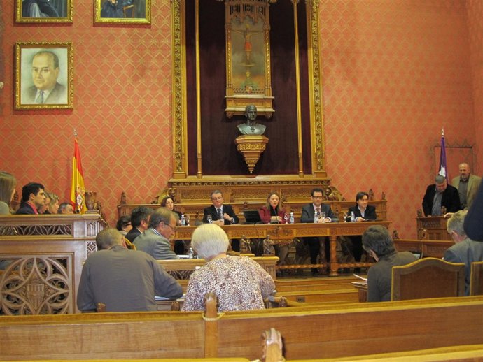 Pleno Del Consell De Mallorca