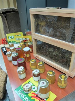 Miel Murciana Y Panales De Abejas