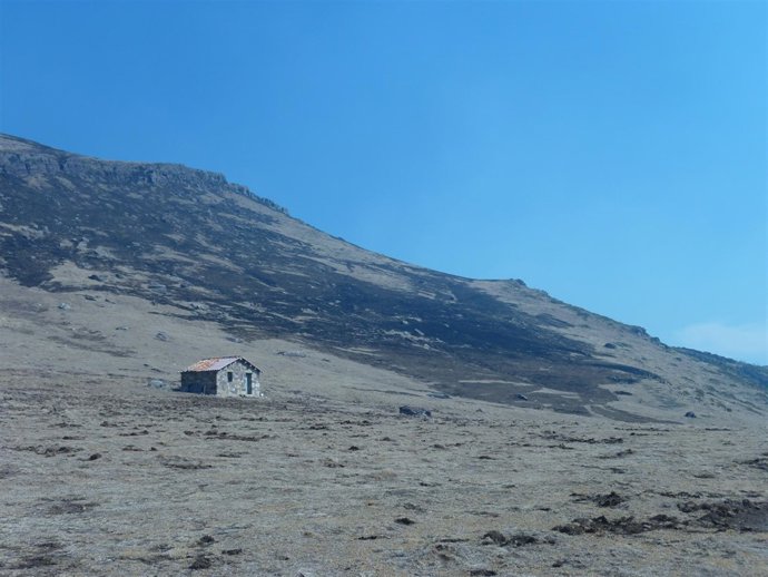 Zona Quemada De 'La Raya', Montaña De Laspaúles