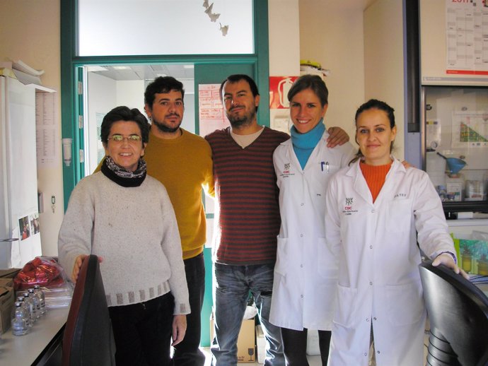 Equipo De Silvia Marqués, Del CSIC