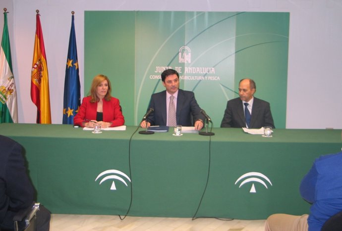 Reunión Por Reestructuración Del Azúcar.