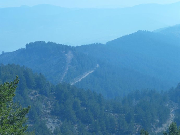 Una De Las Zonas Del Incendio