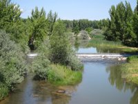 Agua.- Arias Cañete se compromete a "estudiar en detalle" las propuestas para modificar la Ley del Agua de Ecologistas