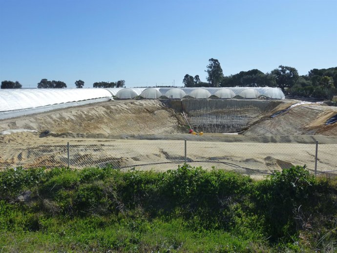 WWF Alerta De Una Nueva Balsa Ilegal En Lucena Del Puerto. 