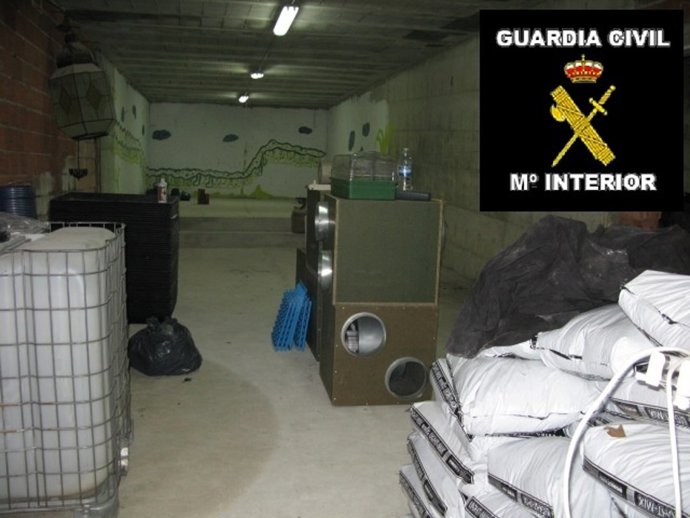 La Guardia Civil Desmantela Un Laboratorio Para Cultivar Marihuana