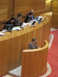 Bouza (BNG) advierte que Galicia "está en la UCI" y Feijóo "receta paracetamol"