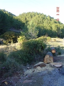 El Desert De Les Palmes