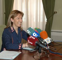 La Diputación de Guadalajara cierra 2011 con un remanente de tesorería de 19 millones de euros