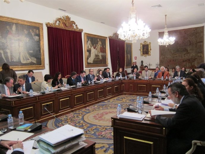 Un Momento Del Pleno De Este Jueves