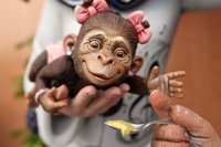 Almirante Cadarso, "entusiasmada" por el Ninot Indultat, espera que la racha siga en los premios de Especial