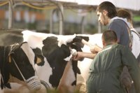 Soriano propone a ganaderos y veterinarios agrupar las Agrupaciones de Defensa Sanitaria para que sean "más eficientes"