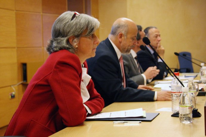 Zulima Fernández Ofrece La Conferencia Sobre Programas De Evaluación De Aneca.