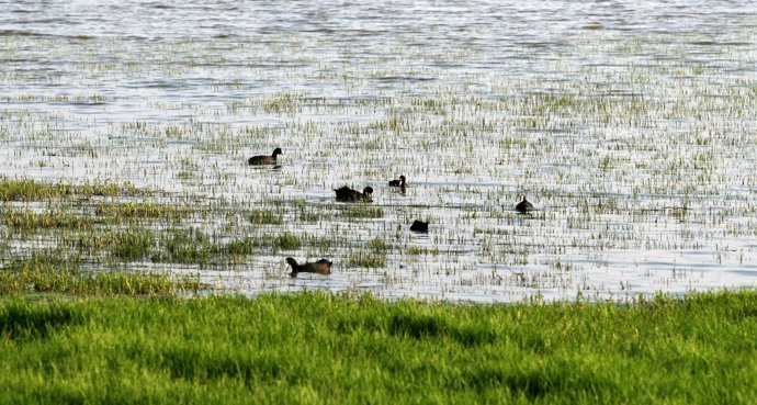 Parque Natural de Doñana