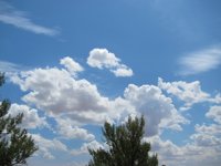 Aemet prevé una primavera "calurosa" en Andalucía