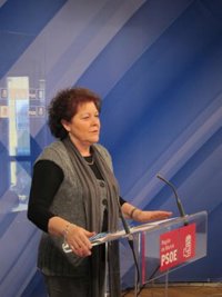 El PSOE sostiene que las propuestas de la consejera de Sanidad "sólo se basan en el recorte y el copago"