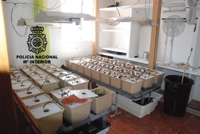 Operacion Caja Marihuana