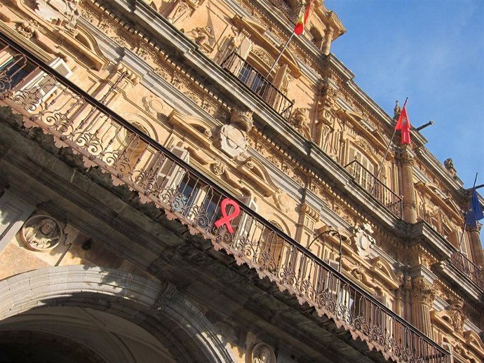 Fachada Del Ayto De Salamanca El Pasado Mes De Diciembre