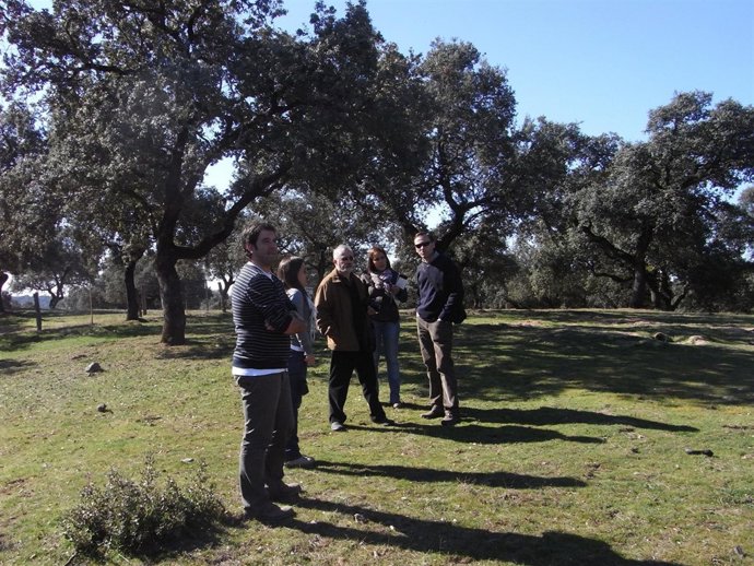 La Visita Del Auditor Al Parque                                           
