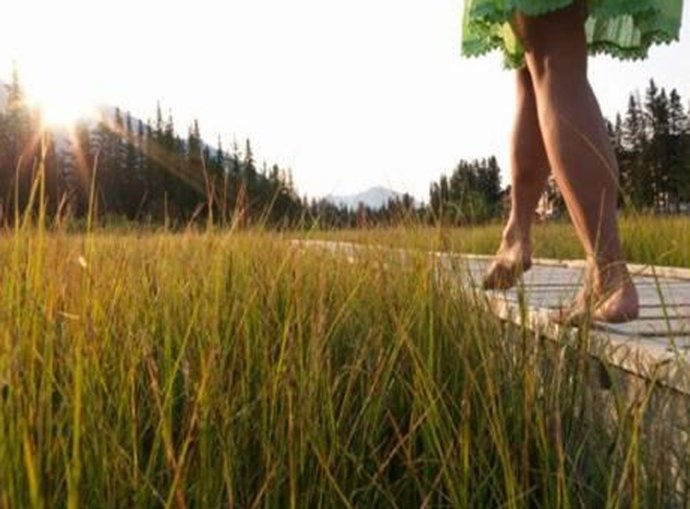 Imagen Nota De Prensa Primavera