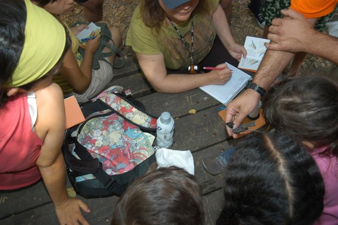 Anillamiento De Aves