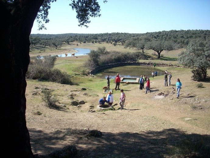 Andares Montehermoso