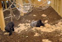 Cabárceno, una opción "divertida" para Semana Santa