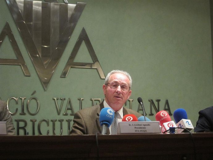 El Presidente De AVA-Asaja, Cristóbal Aguado, En Rueda De Prensa.