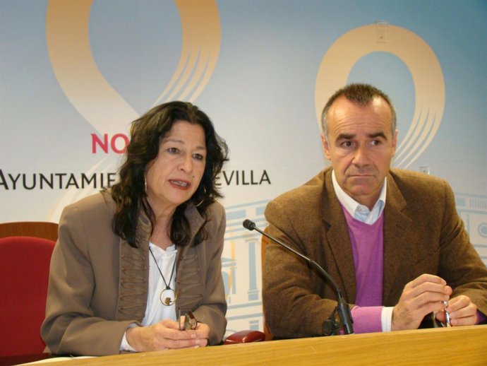  PSOE Acusa A Zoido De Querer Privatizar El Servicio Público De Bibliotecas