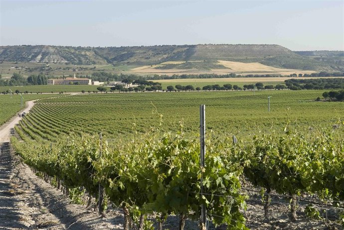 'The Winestorming' , Iniciativa Para Impulsar El Enogastroturismo