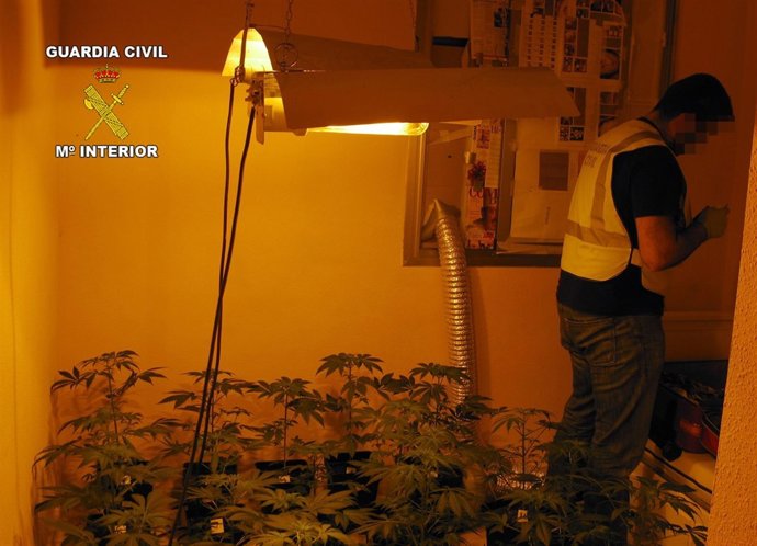 La Guardia Civil Detiene A Una Banda Responsable De Varios Robos En Viviendas