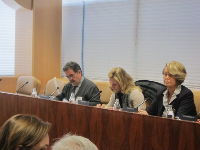 Comisión De Educación En La Asamblea De Madrid