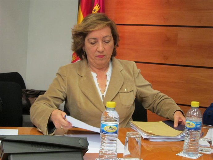 Casero En Comisión 1