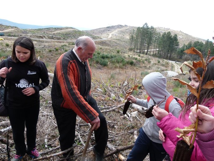 Plantación En El Tiétar Con Motivo De El Día Del Árbol