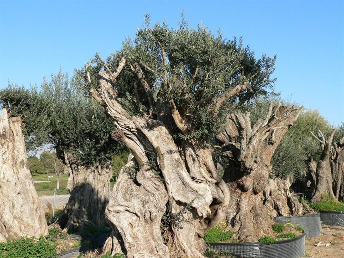 Fundación Félix Rodríguez De La Fuente