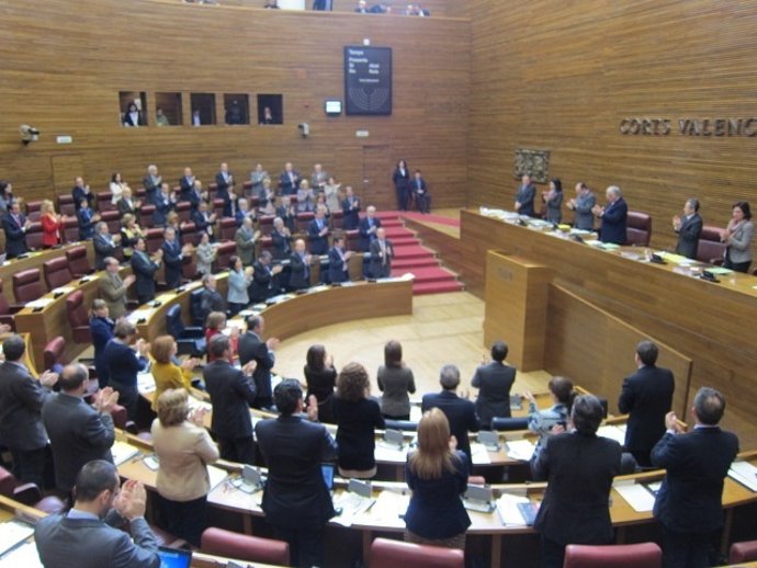 Pleno De Las Corts Valencianes