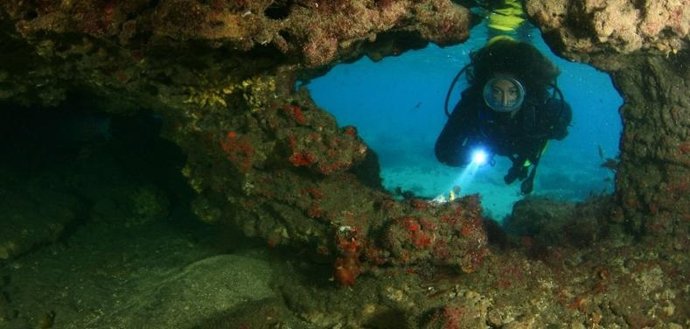 Fotografía De Arturo Telle, Premio De La Pasada Edición De LPA Fotosub